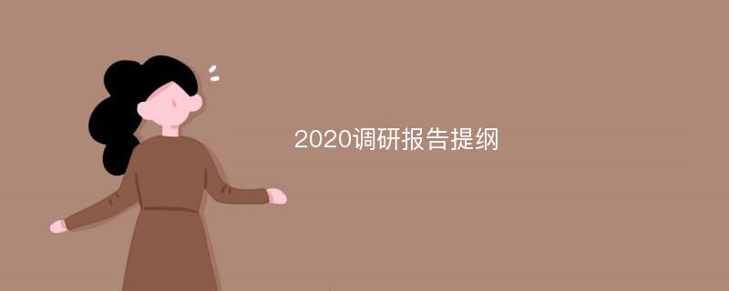 2020调研报告提纲