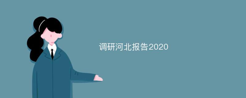 调研河北报告2020