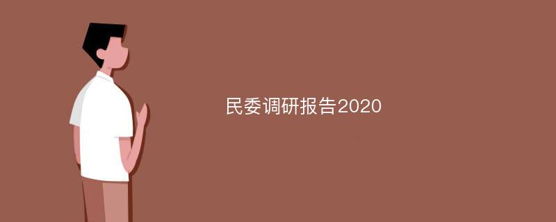 民委调研报告2020