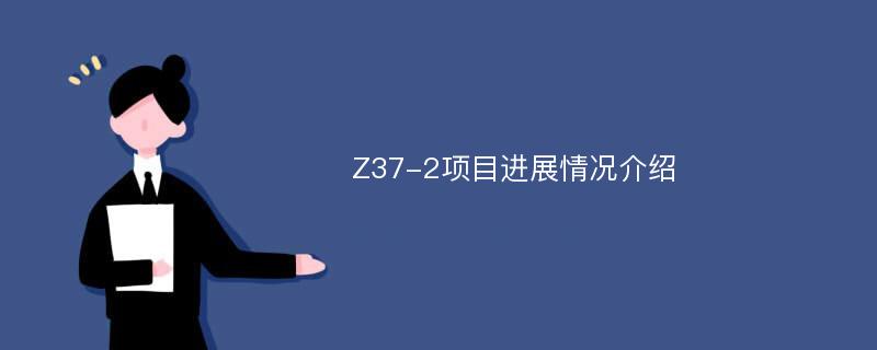 Z37-2项目进展情况介绍